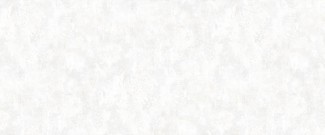 98121 обои Rose City