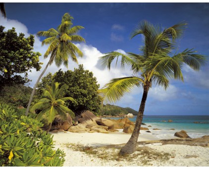 8-885 Фотообои Komar "Praslin"