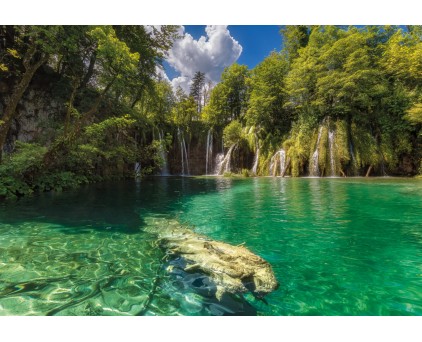 8-533 Фотообои Komar "Eden Falls"